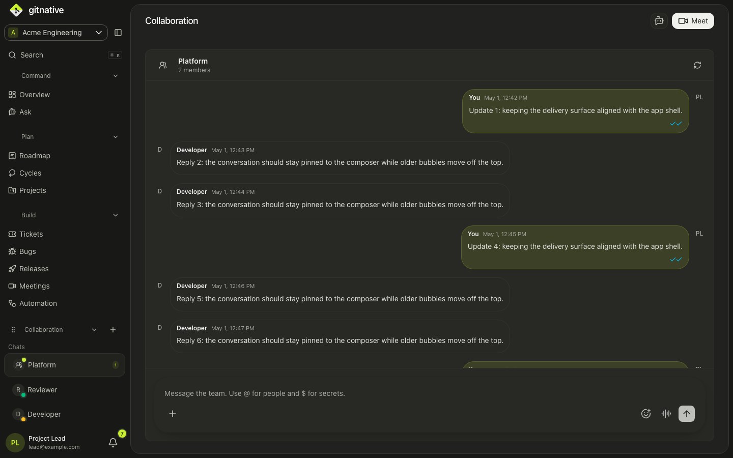 GitNative workspace conversations and message controls.